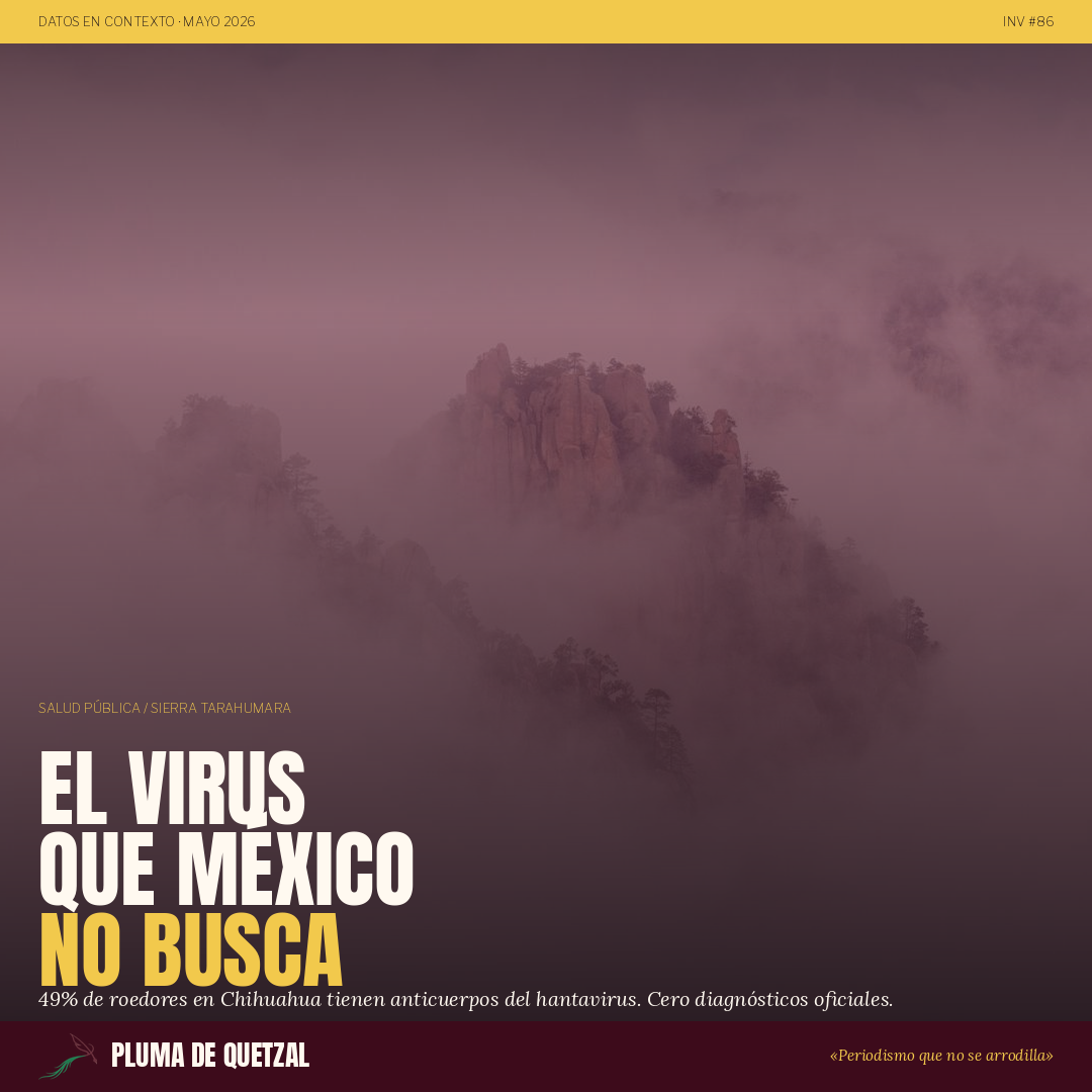 El virus que México no busca: 49% de roedores en Chihuahua portan hantavirus, cero casos diagnosticados oficialmente. Datos UNAM, OPS, Centro Prodh.
