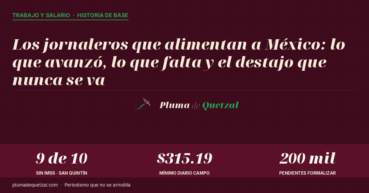 Gráfica comparativa del salario mínimo profesional del jornalero agrícola 2026 en zona frontera norte y resto del país.