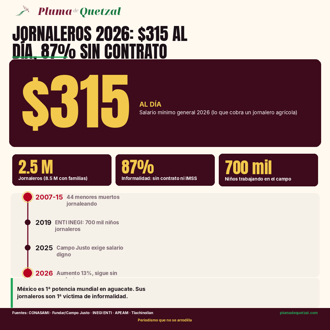 Infografía: $315/día + 2.5M jornaleros + 87% informalidad + 700 mil niños jornaleros + timeline 2007-2026