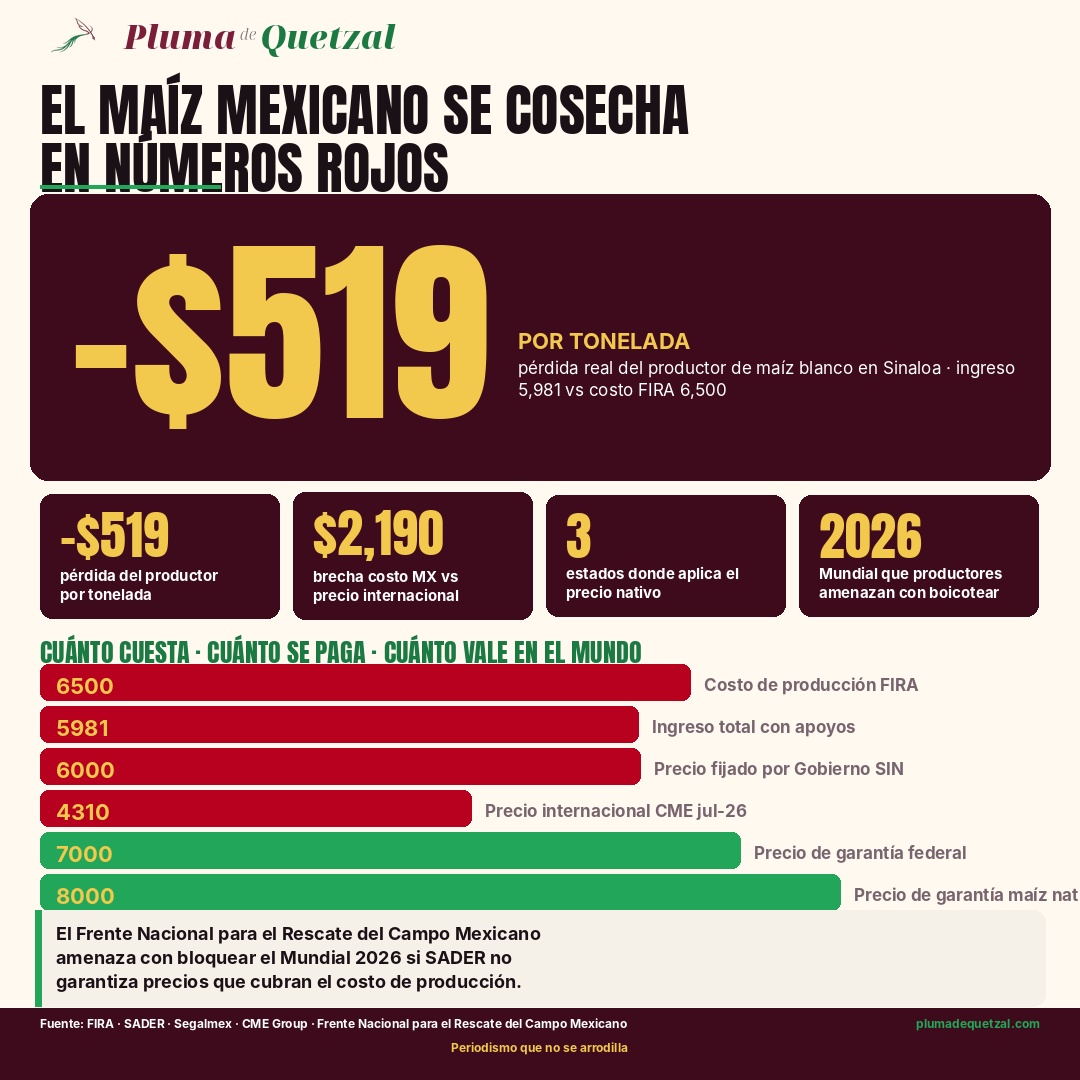 Infografía Pluma de Quetzal: comparativo de costo de producción, precio fijado, ingreso total con apoyos, precio internacional del maíz CME julio 2026, precio de garantía federal y precio de garantía maíz nativo. Cifras: -519 pesos pérdida por tonelada, 2,190 pesos brecha vs precio internacional, 3 estados con precio nativo, Mundial 2026 amenaza de boicot. Fuentes FIRA, SADER, Segalmex, CME Group, Frente Nacional para el Rescate del Campo Mexicano.