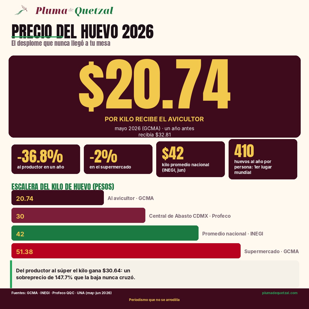 Infografía: escalera del precio del kilo de huevo en México 2026, de $20.74 al avicultor a $51.38 en supermercado. Pluma de Quetzal