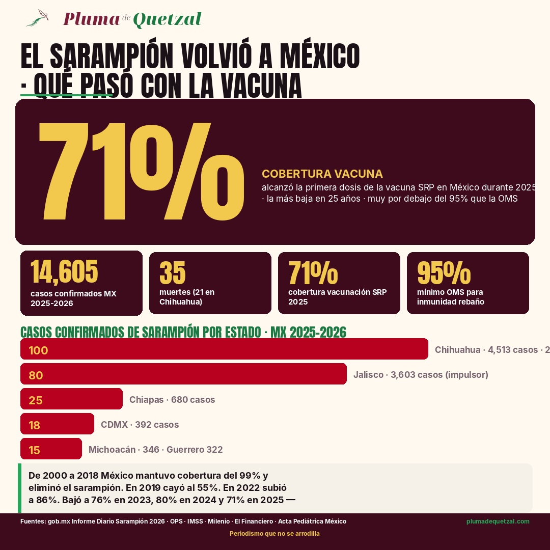 Infografía Pluma de Quetzal sobre el brote de sarampión en México 2026. Hero 71 por ciento de cobertura tuvo la vacuna SRP primera dosis en México 2025, la más baja en 25 años y muy por debajo del 95 por ciento mínimo OMS. Pastillas: 14,605 casos confirmados MX 2025-2026, 35 muertes (21 en Chihuahua), 71% cobertura vacunación SRP 2025, 95% mínimo OMS inmunidad rebaño. Barras de casos por estado: Chihuahua 4,513 casos y 21 muertes, Jalisco 3,603 casos impulsor 2026, Chiapas 680, CDMX 392, Michoacán 346 y Guerrero 322. De 2000 a 2018 México tenía 99 por ciento de cobertura y eliminó el sarampión. En 2019 cayó al 55 por ciento bajo AMLO. En 2025 al 71 por ciento bajo Sheinbaum. América perdió el estatus libre de sarampión en 2018, lo recuperó en 2024 y lo volvió a perder en 2025. La cifra estructural no es accidente es presupuesto.