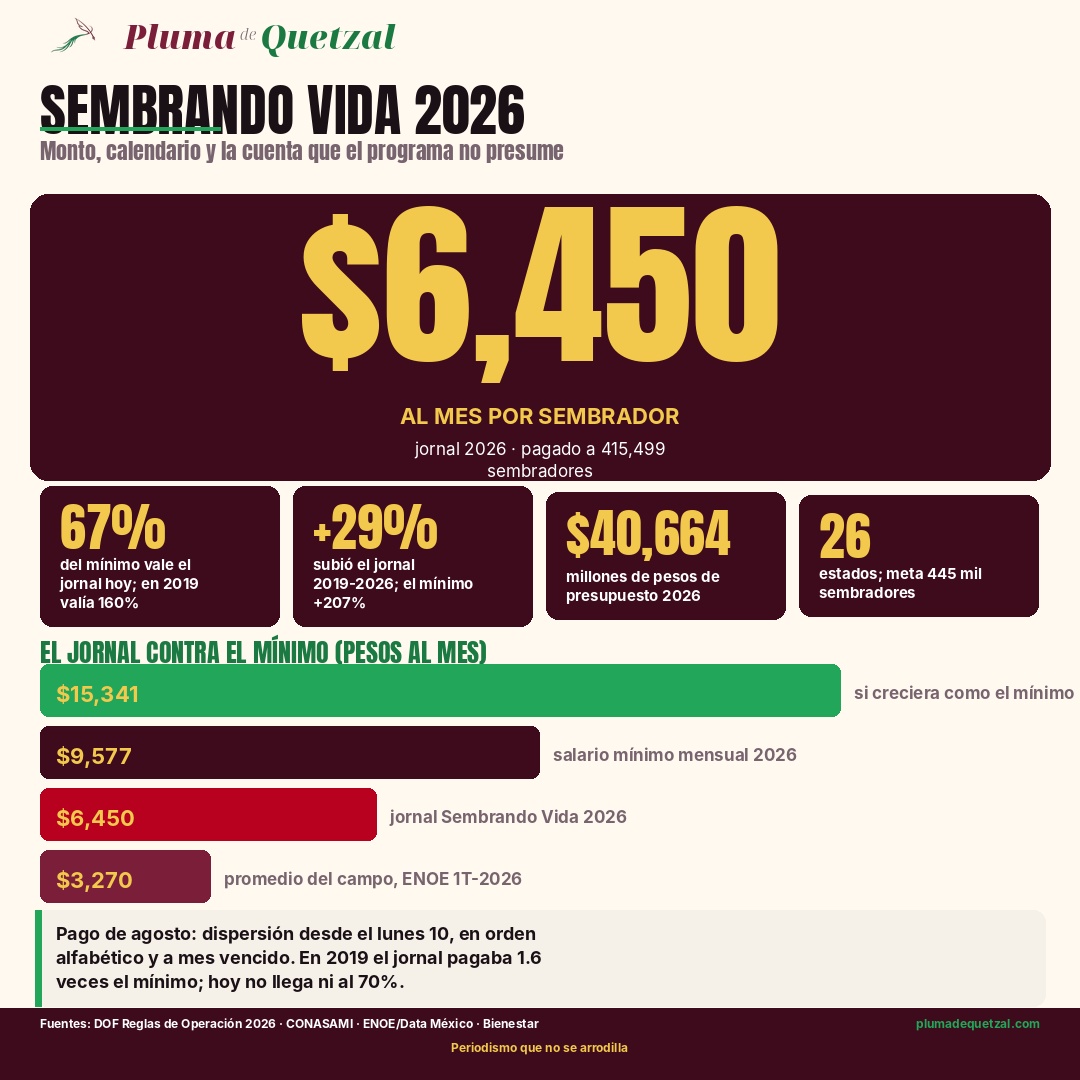 Infografía de Pluma de Quetzal: jornal de Sembrando Vida 2026 de $6,450 al mes frente al salario mínimo mensual de $9,577; en 2019 el jornal valía 160% del mínimo y en 2026 vale 67%; presupuesto de $40,664 millones de pesos y meta de 445 mil sembradores en 26 estados.