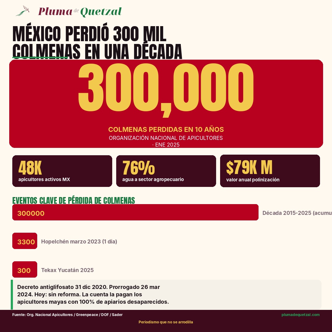 Infografía Pluma de Quetzal: 300,000 colmenas perdidas en una década, 48,000 apicultores, $79,441 millones de pesos en polinización, 3,300 colmenas envenenadas en Hopelchén marzo 2023, decreto antiglifosato prorrogado.